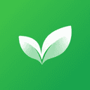 Cadentiq · Your daily rhythm, kept. logo